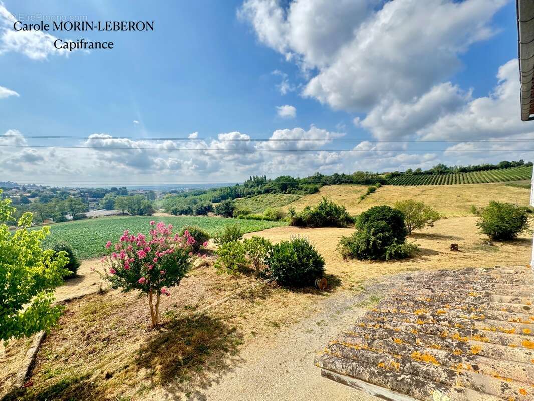 Girondine avec plus de 7 hectares et vue exceptionnelle - photo 13