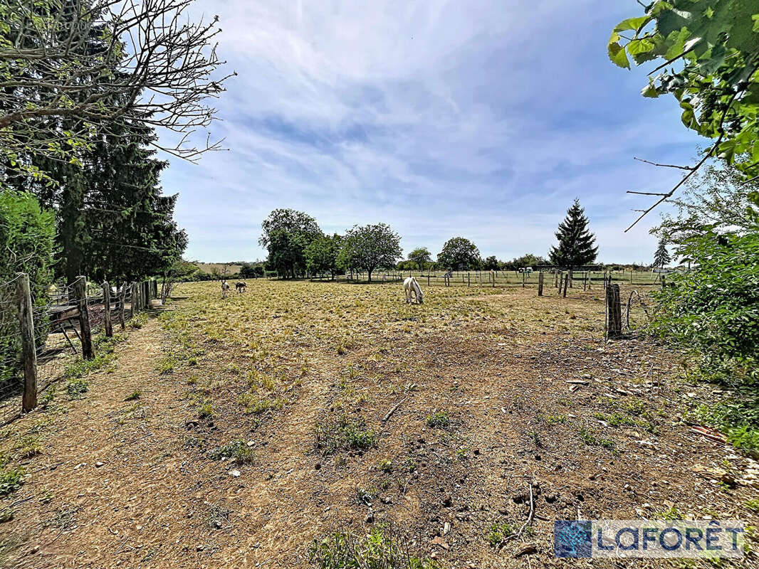 Corps de ferme Dammartin-sur-Meuse 300 m2 - photo 12