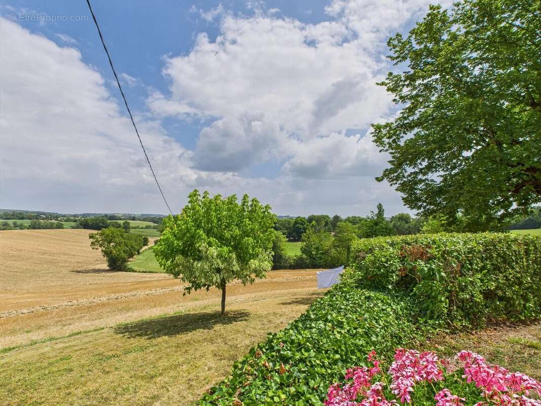 Maison à SAINT-COLOMB-DE-LAUZUN