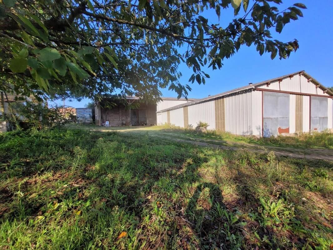 Photo 1 - Terrain à VOUILLE