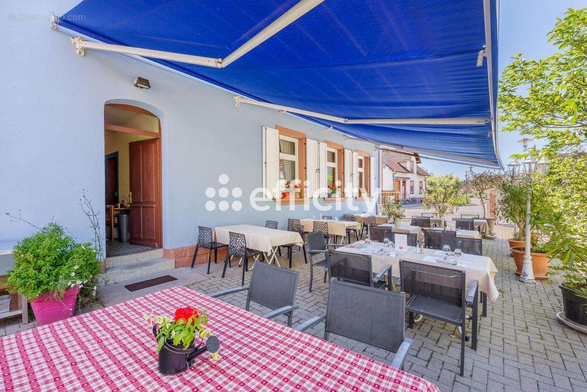 Divers maison - photo 5
