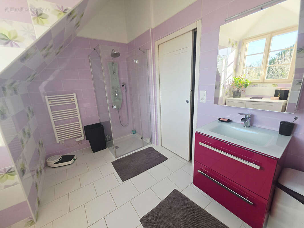 Maison à LA ROCHE-POSAY