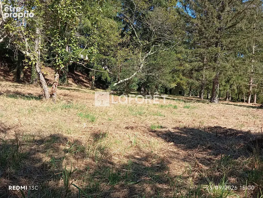 Ancien camping / 2,15 ha - prats de mollo - photo 15