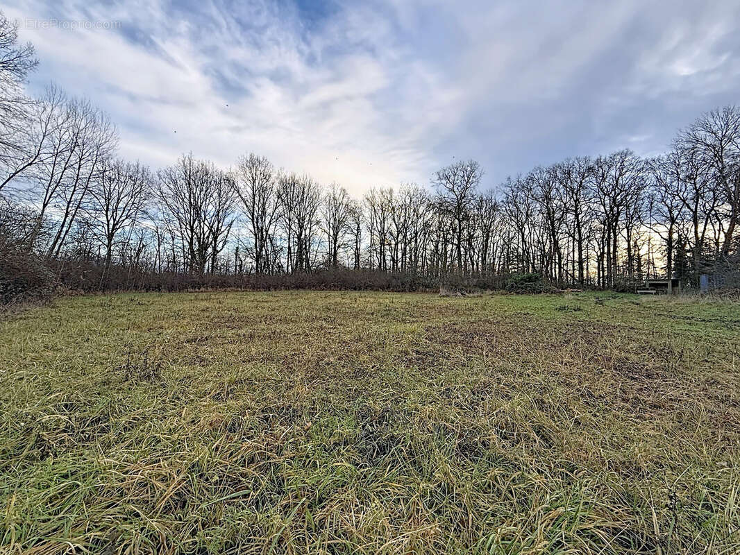 Terrain à COURTERANGES
