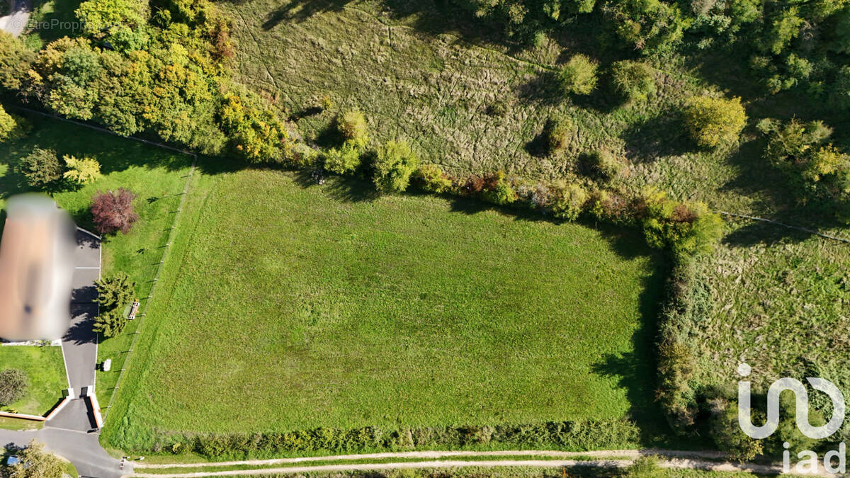 Photo 1 - Terrain à CHATEAUNEUF-SUR-CHARENTE