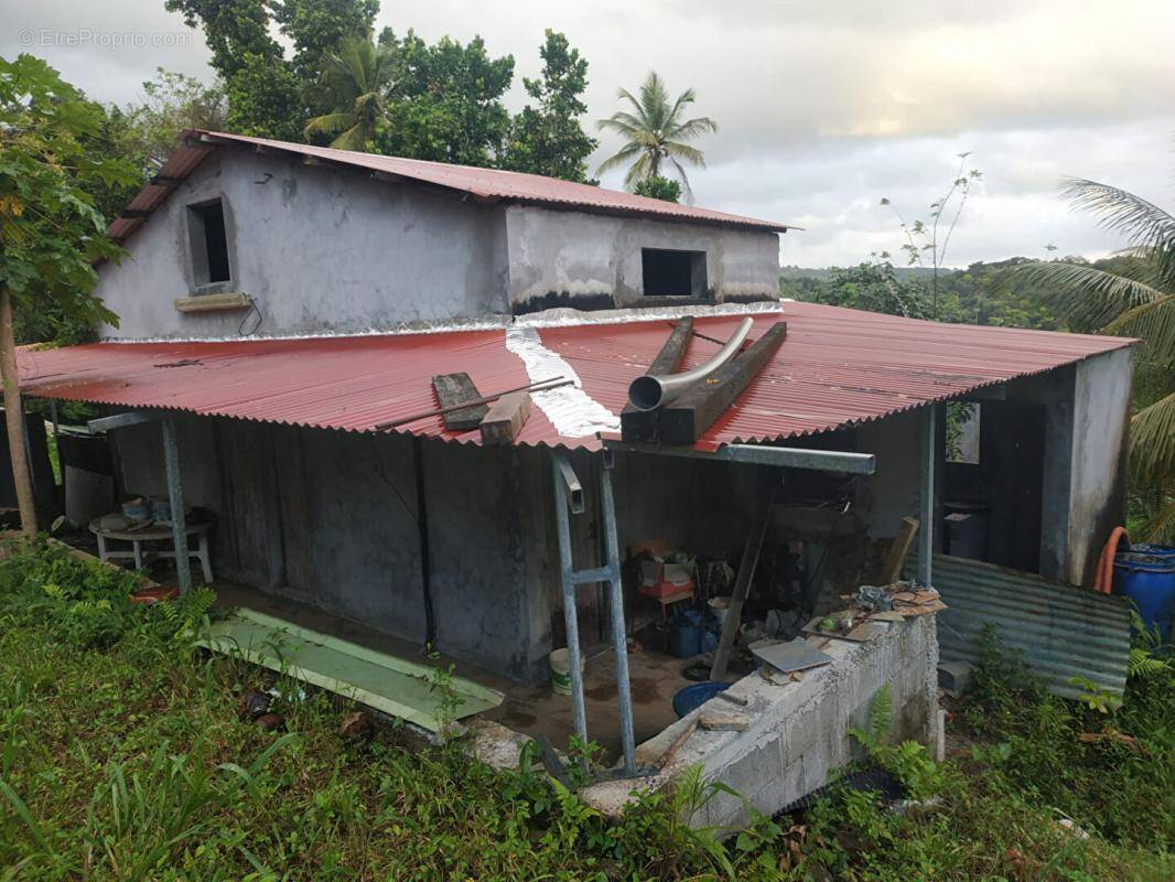 Maison à GROS-MORNE