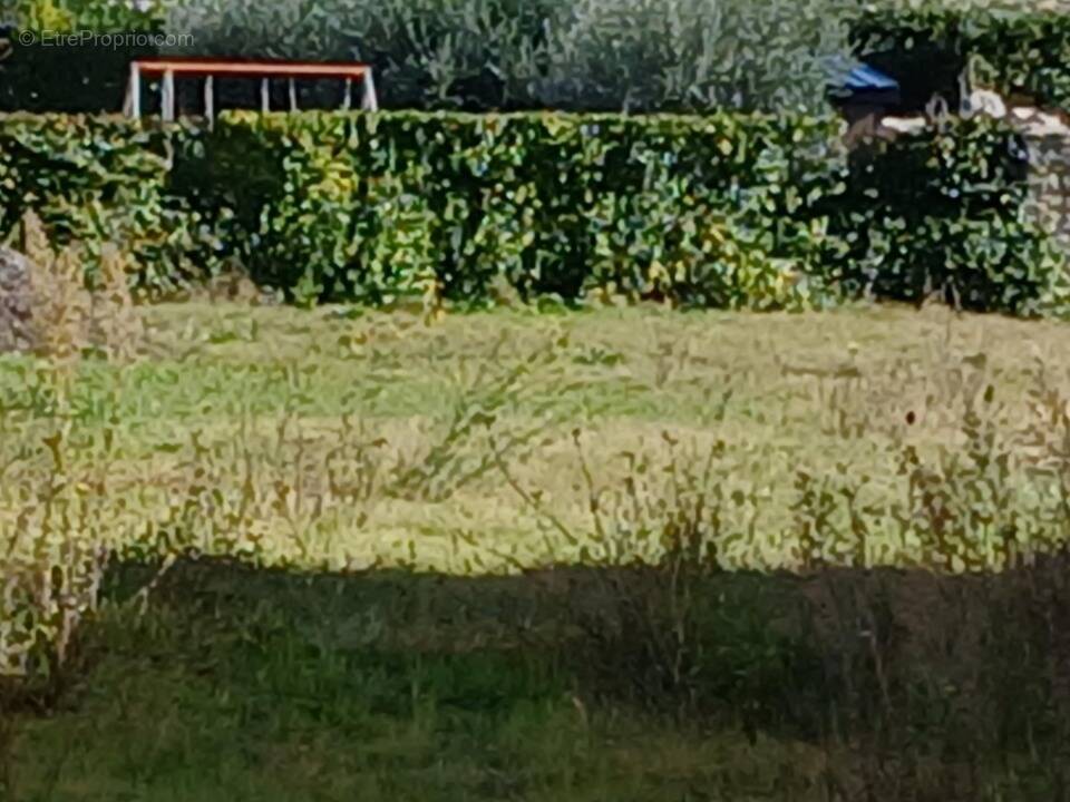 Terrain à CALVISSON