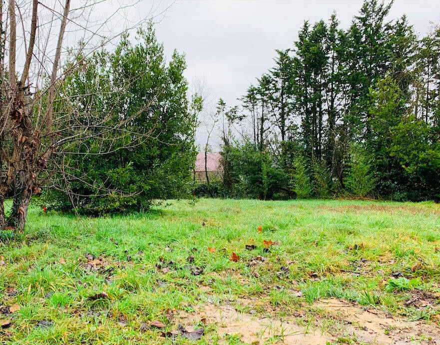 Terrain à MONTGUYON