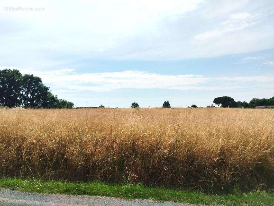 Terrain 1000 m² à Merignac  - photo 2
