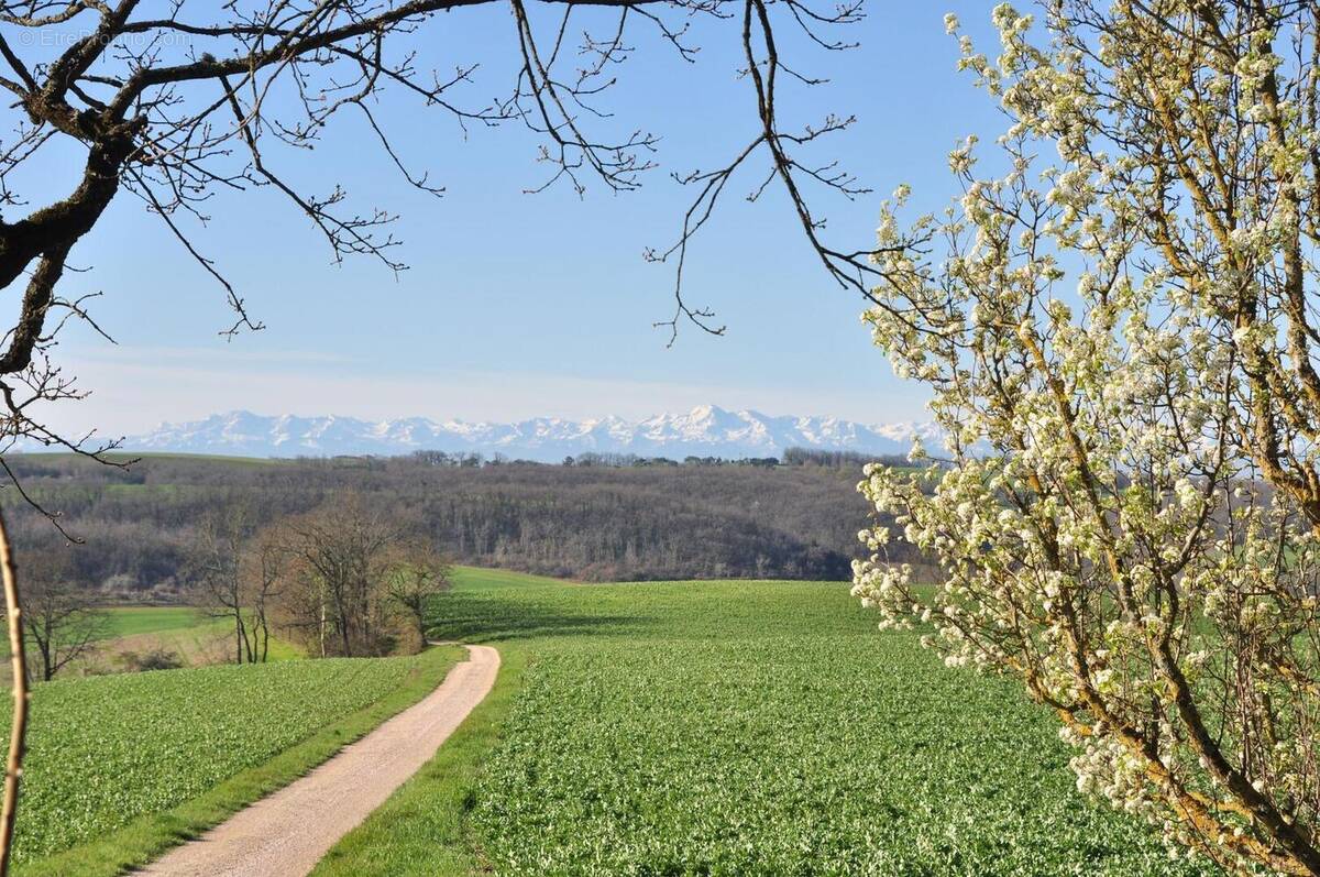 10 DSC7056 1 - Maison à BARRAN
