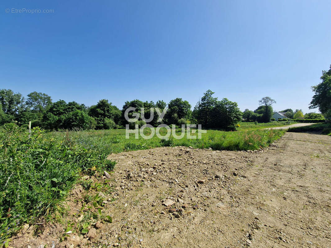Terrain à SAINT-GUYOMARD