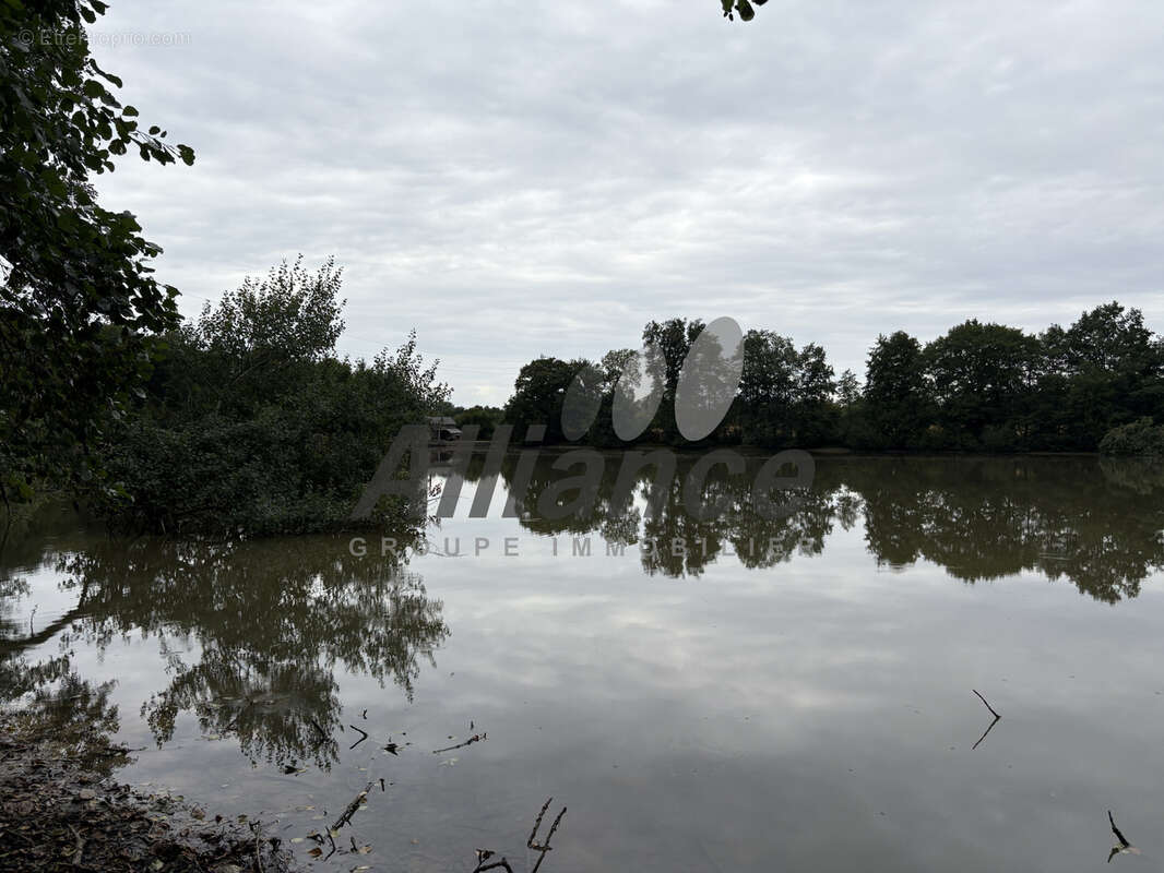 Etang  de  7  ha  50  d eau  entre  luxeuil  et  lure  avec  cabane  de  pecheur - photo 3