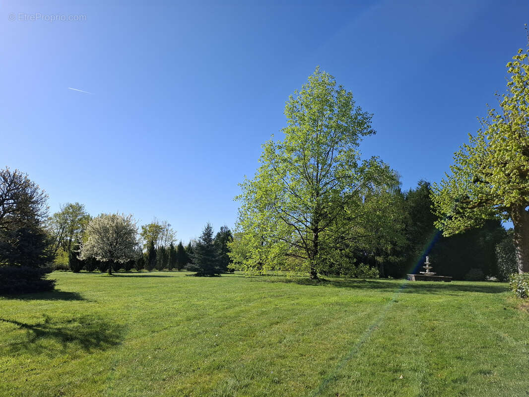 Propriété de 239 m2, sur 2,5 ha de terres et bois. - photo 16