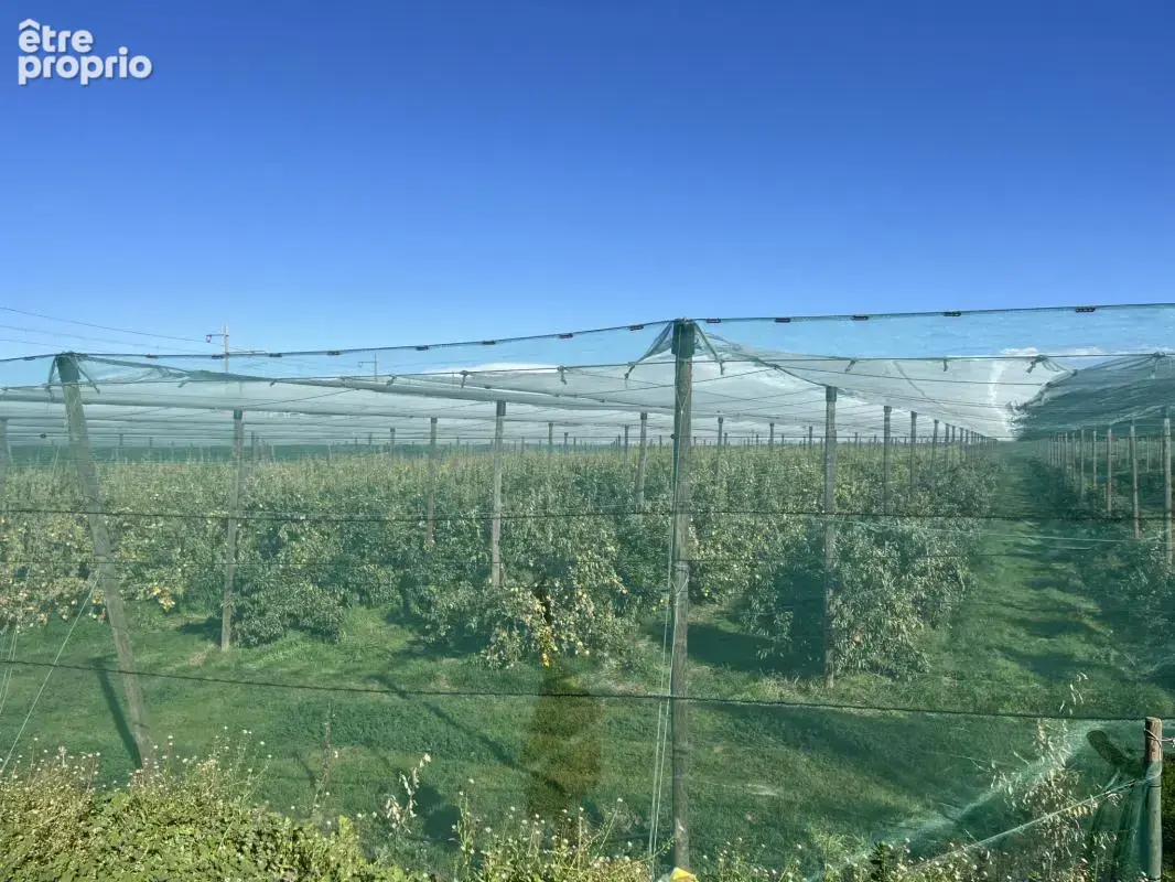 À VENDRE : Terrain Maraîcher à proximité d'Elne - photo 2