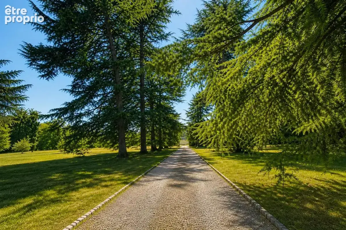 Propriété de 12 pièces de 820 m² à Samazan - photo 26