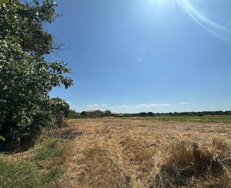 Terrain à SAINT-CHAPTES