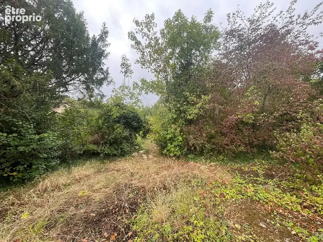 Terrain Ormesson Sur Marne 303 m2 - photo 2