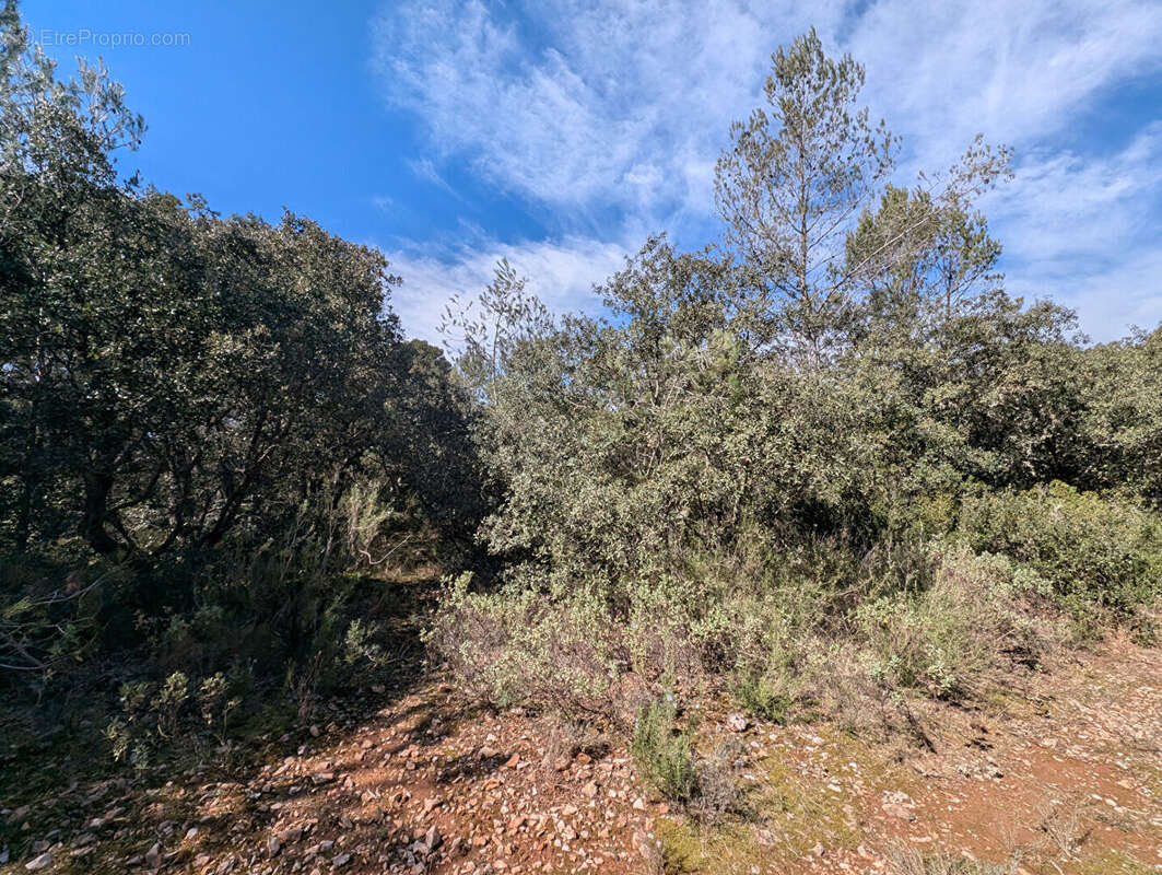 Terrain à NANS-LES-PINS