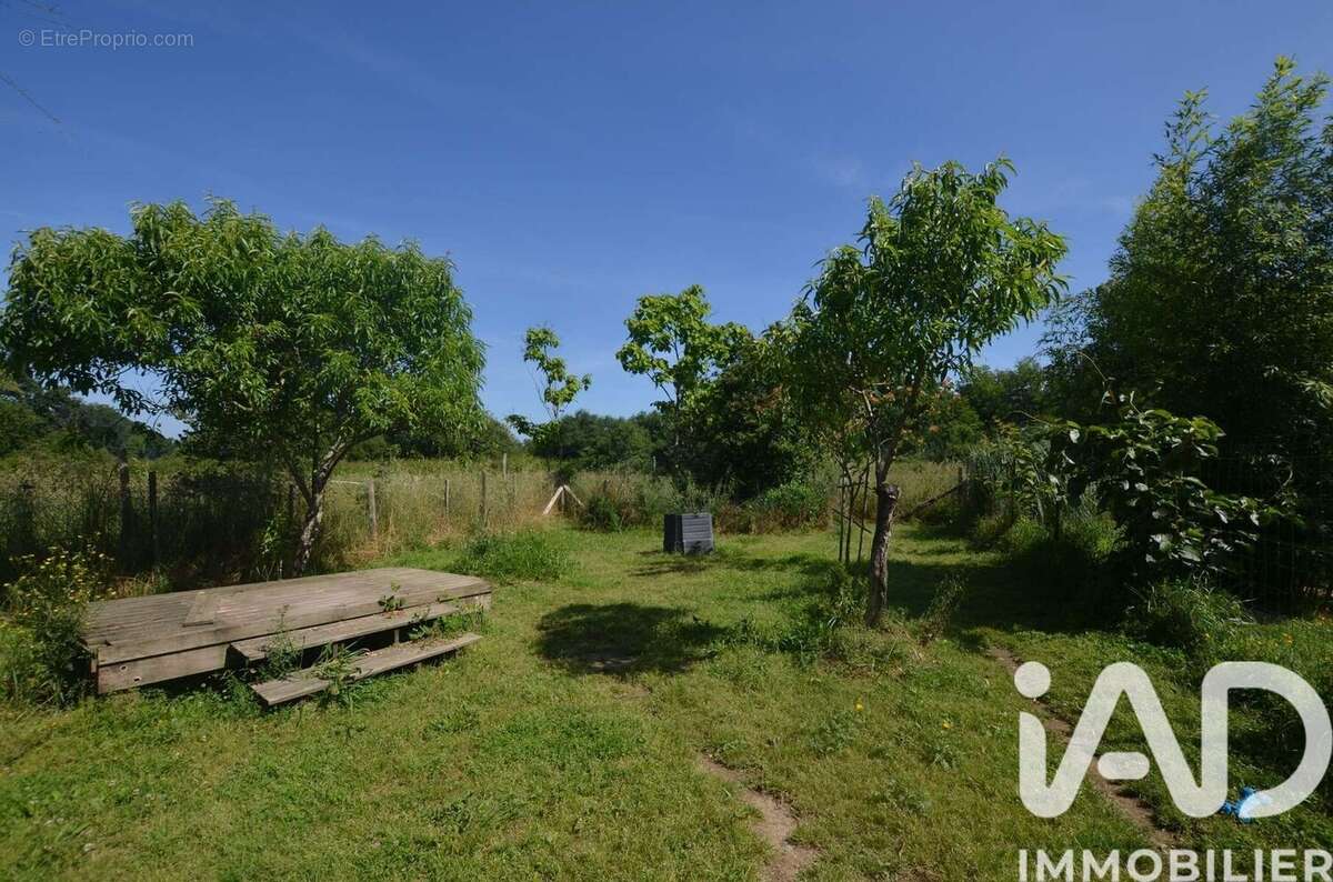 Photo 5 - Terrain à RISCLE