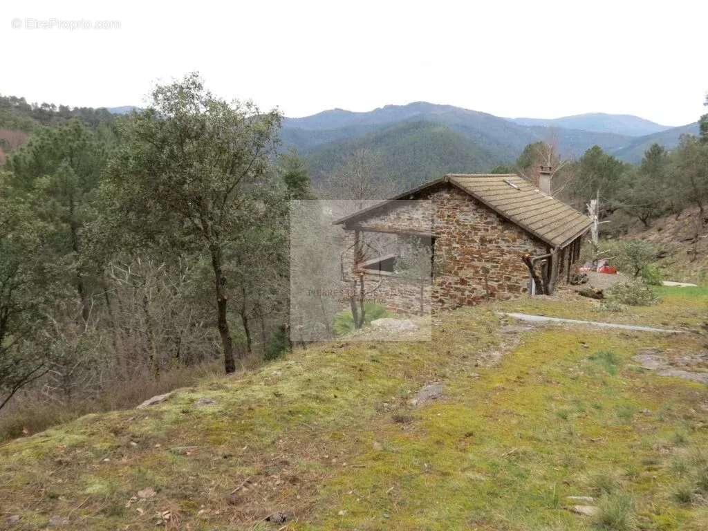 Maison à SAINTE-CROIX-VALLEE-FRANCAISE