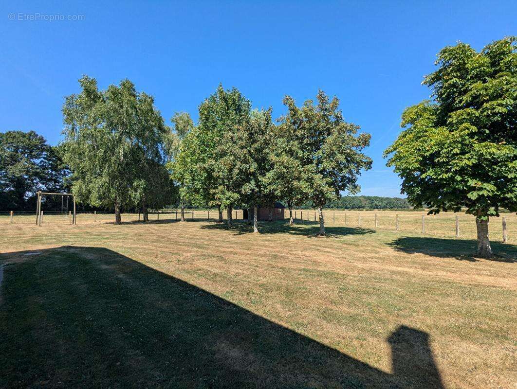 Propriété 150 m2  4 chambres Parcelle 2 700 m2 (Possibilité d'acquérir 7ha en +) - photo 13