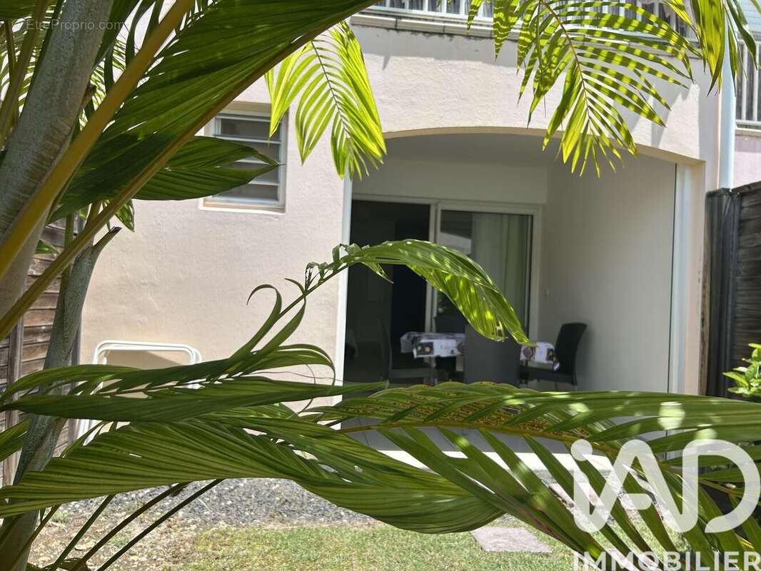 Photo 5 - Appartement à SAINT-FRANCOIS