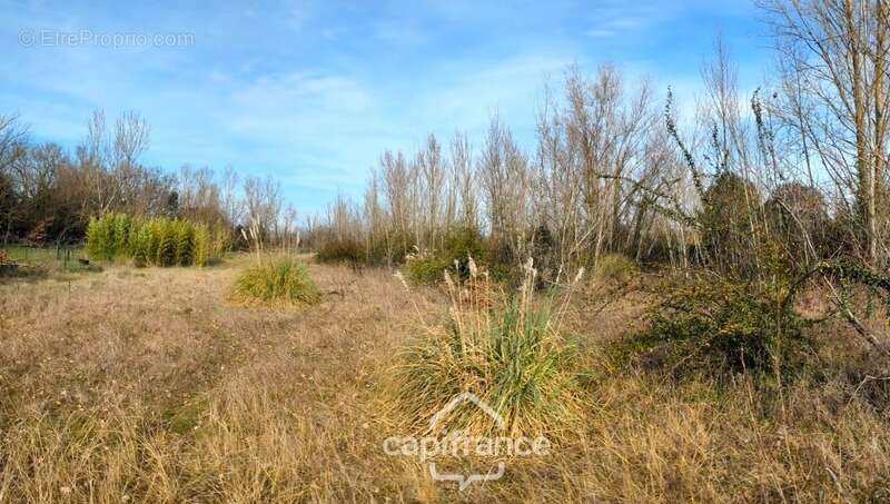 Terrain 6000m² ROQUES (31) - photo 3