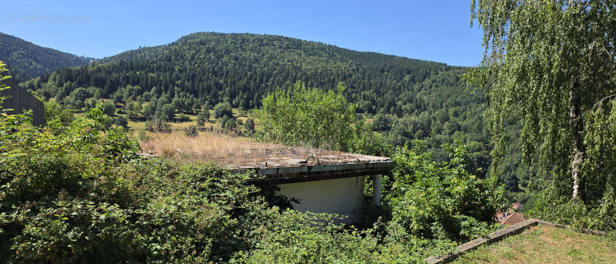 Natzwiller, exceptionnel, terrain à bâtir sur les hauteurs : projet de construction « Prêt à démarrer » avec v - photo 6