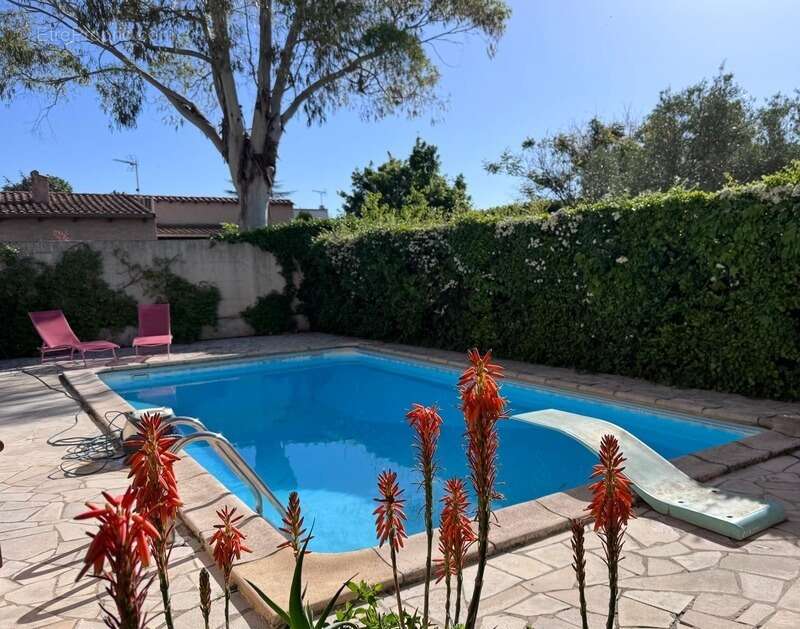 Maison à PEROLS