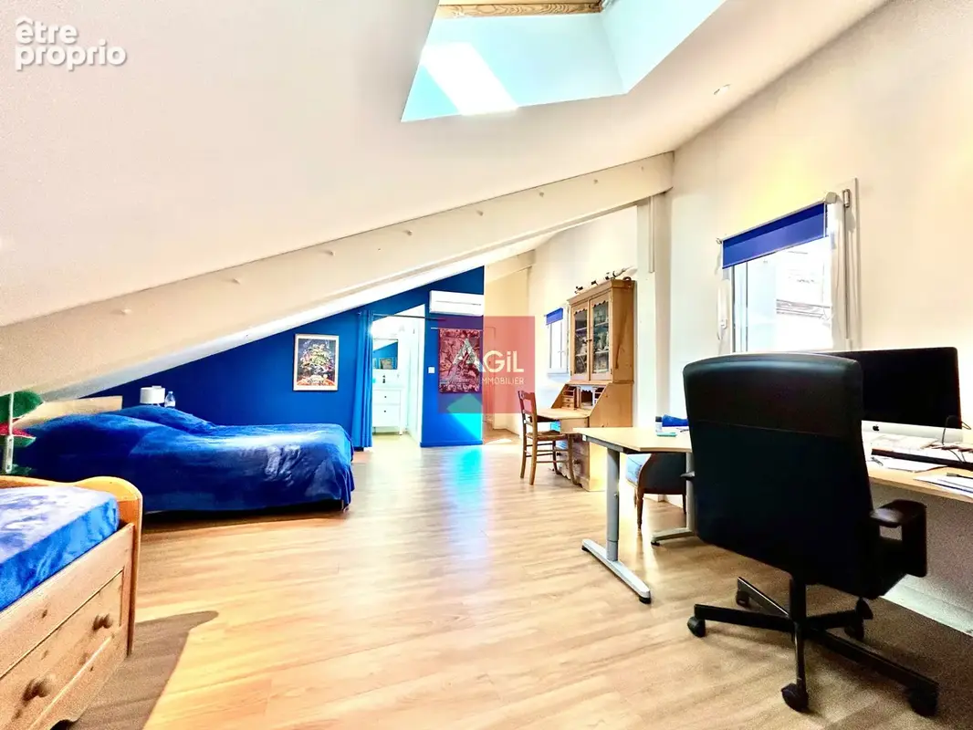 GRENOBLE - Rue Raoul Blanchard : T7 en duplex de 260m2 - photo 17