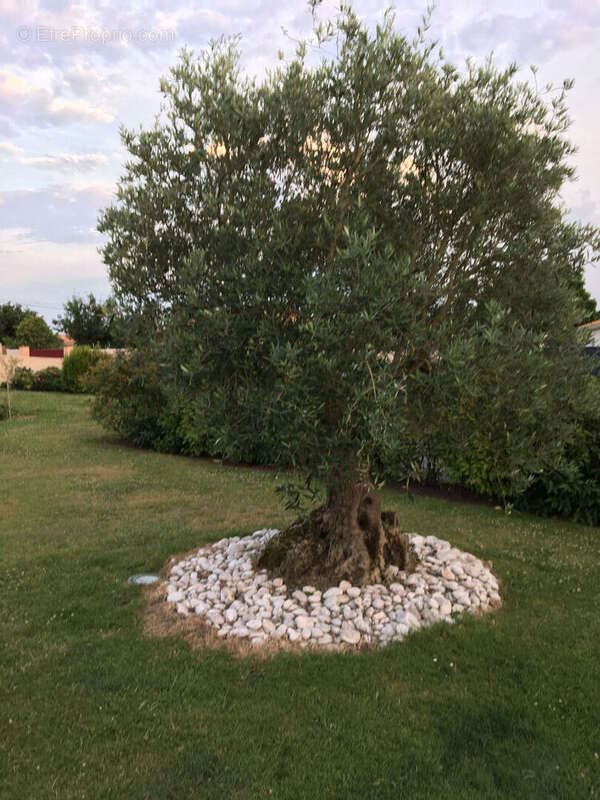 Maison à LA CHAPELLE-BASSE-MER
