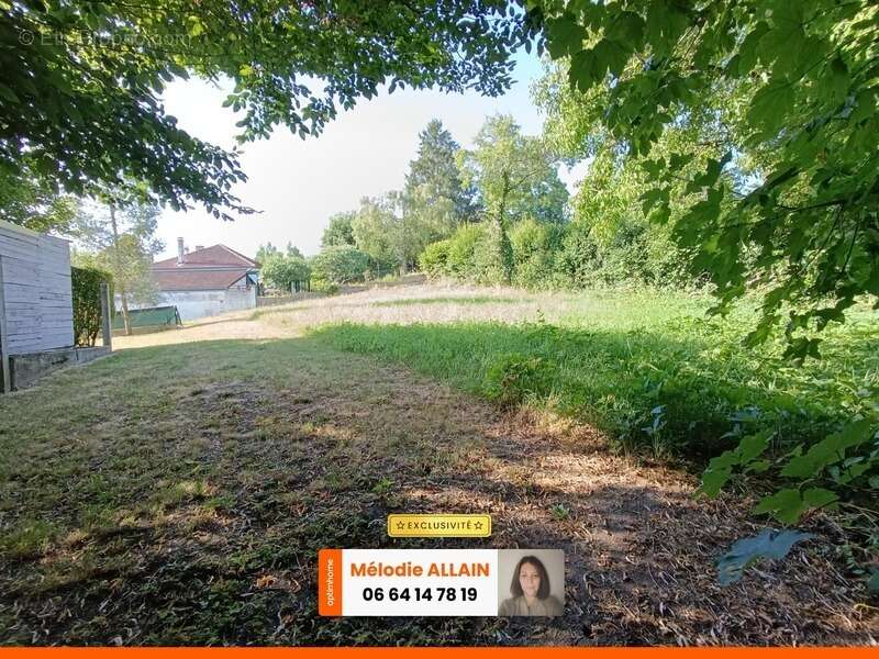 Terrain 790 m2 saint priest bramefant - photo 6