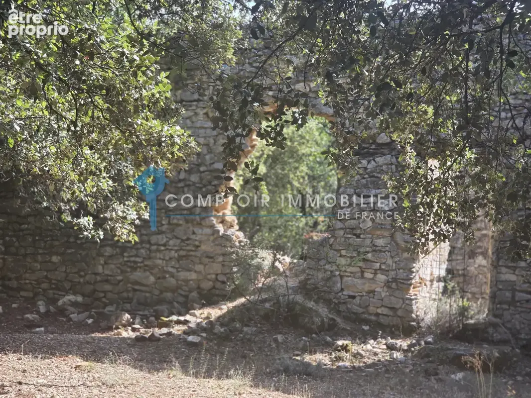Terrain forestier avec ruine - photo 3