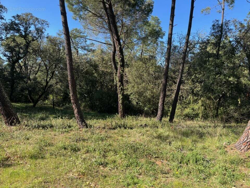 Terrain à SUZE-LA-ROUSSE