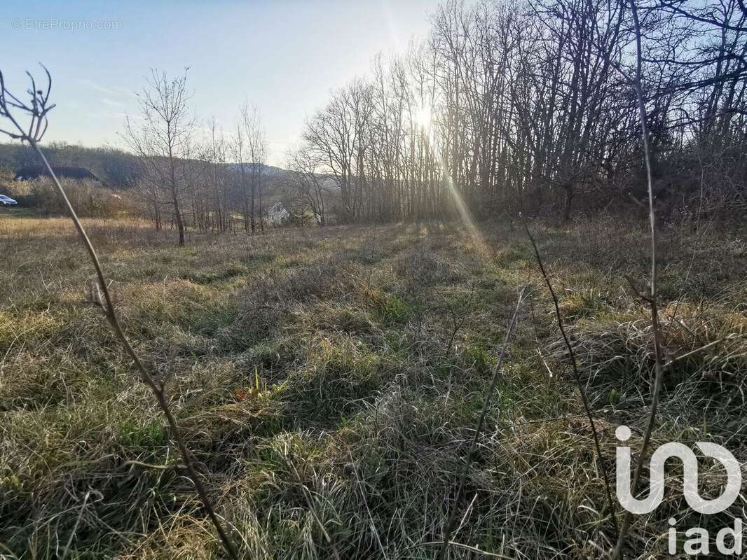 Photo 2 - Terrain à CAZALS