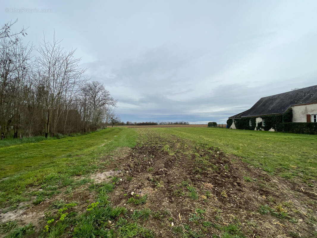 Terrain à PAUDY