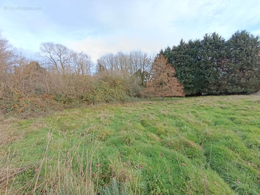 Maison à SAINTE-PIENCE