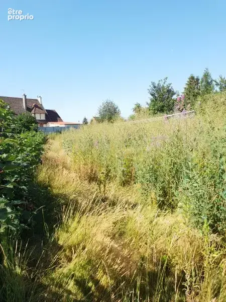 Terrain a batir  secteur crevecoeur le grand - 715 m2 - photo 3