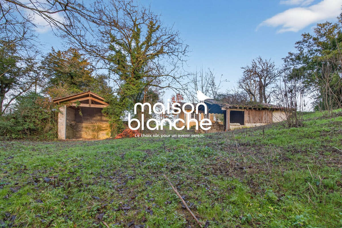 Maison à PUISSEGUIN