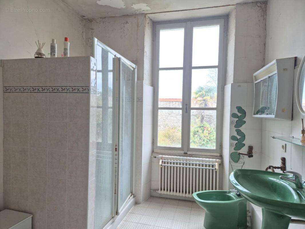 Maison de Maître Charentaise du XIXe siécle avec dépendances - photo 7