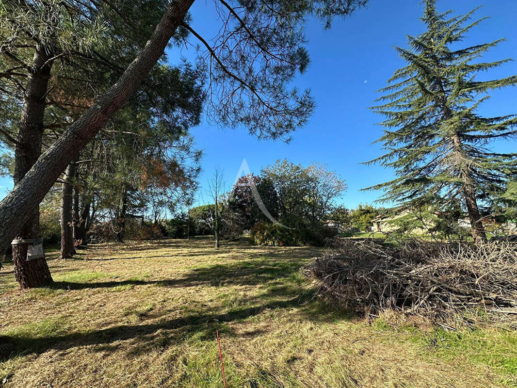Terrain à BUZET-SUR-TARN