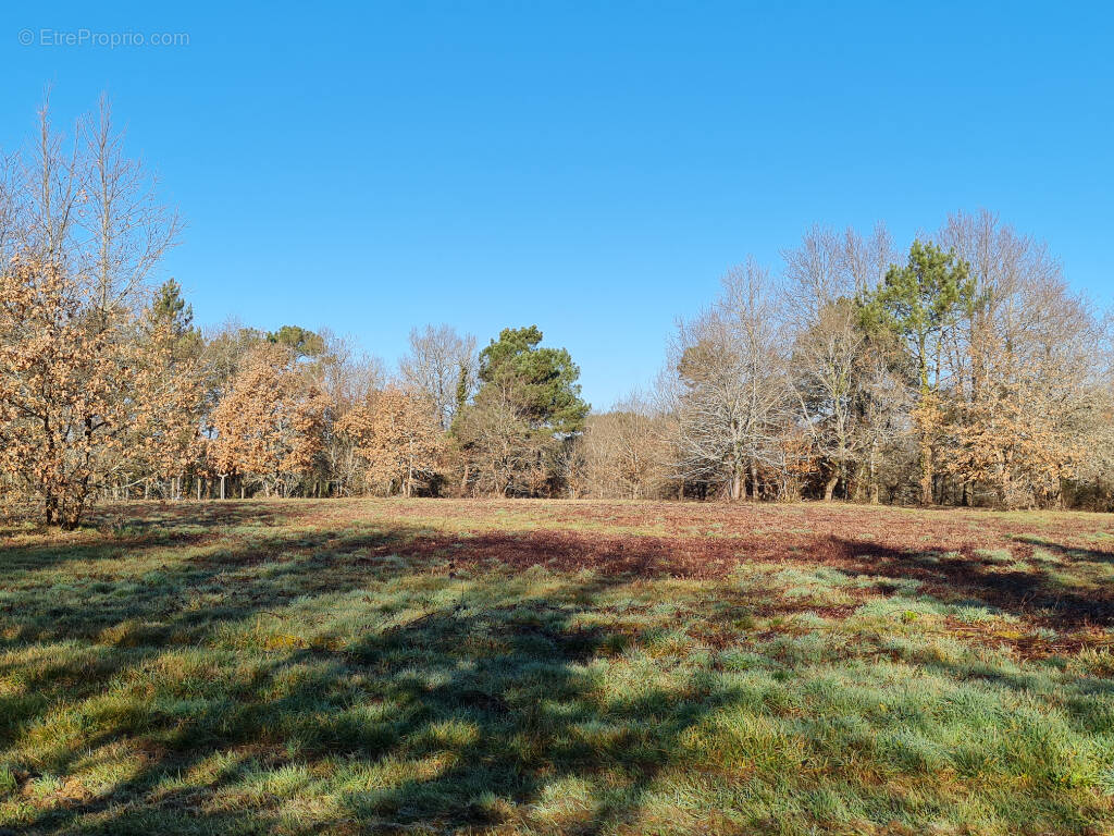 Terrain à MUSSIDAN