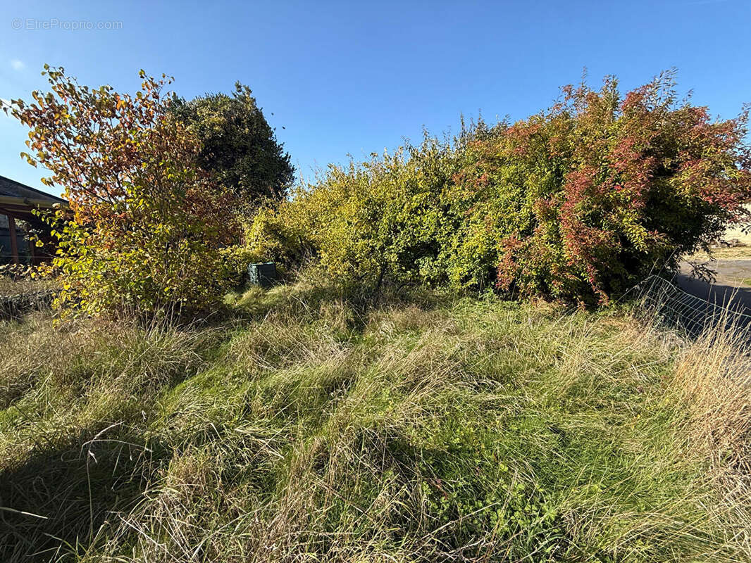 Maison à SAINT-AIGNAN
