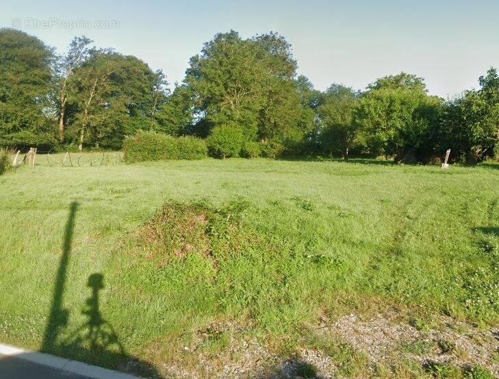Terrain à WIRWIGNES