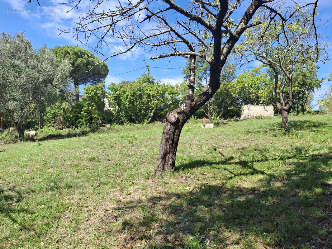Terrain à PECHABOU