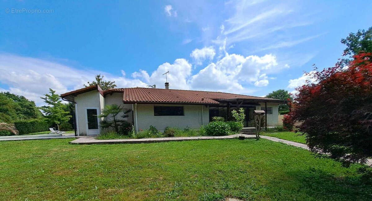 Maison à VILLENEUVE-DE-MARSAN