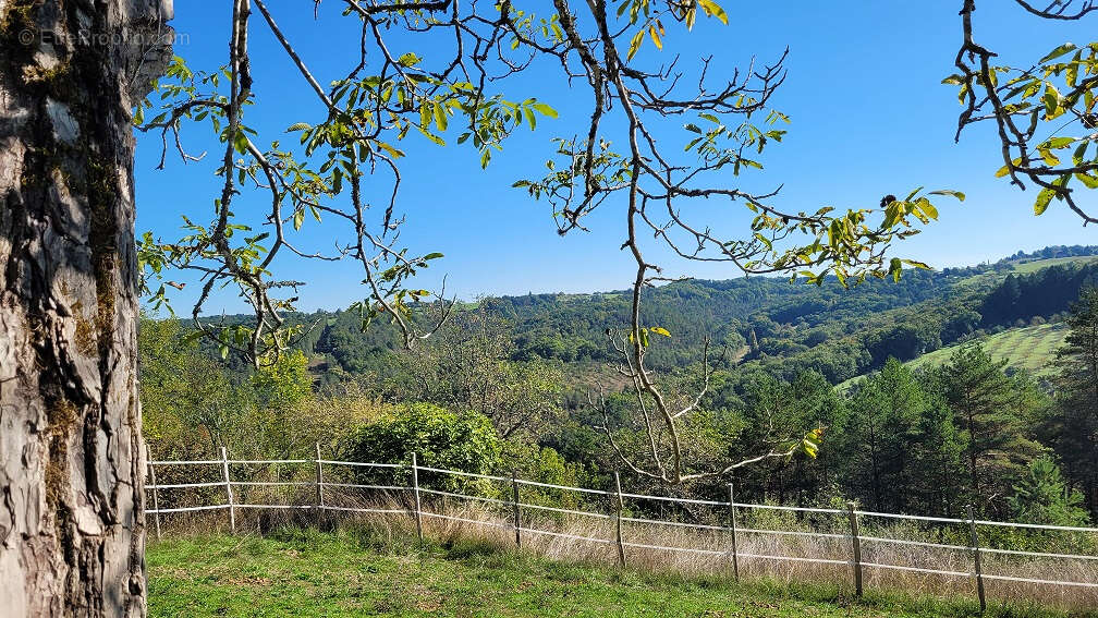 PLAZAC: BELLE VUE ET CALME! - Maison avec gîte attenant. 3/4 chambres. Dépendance. Terrain constructible , Prés et bois environ  - photo 3