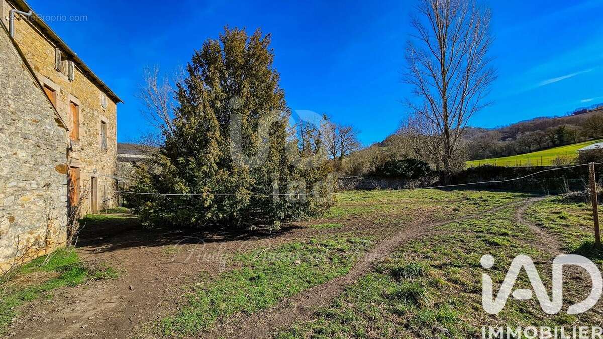 Photo 4 - Maison à SEVERAC-LE-CHATEAU