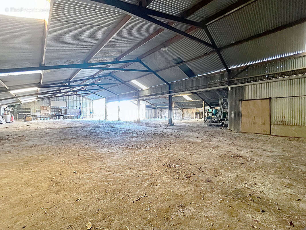 Maison d'habitation dependance et hangar de 800 m² - erquy - photo 16