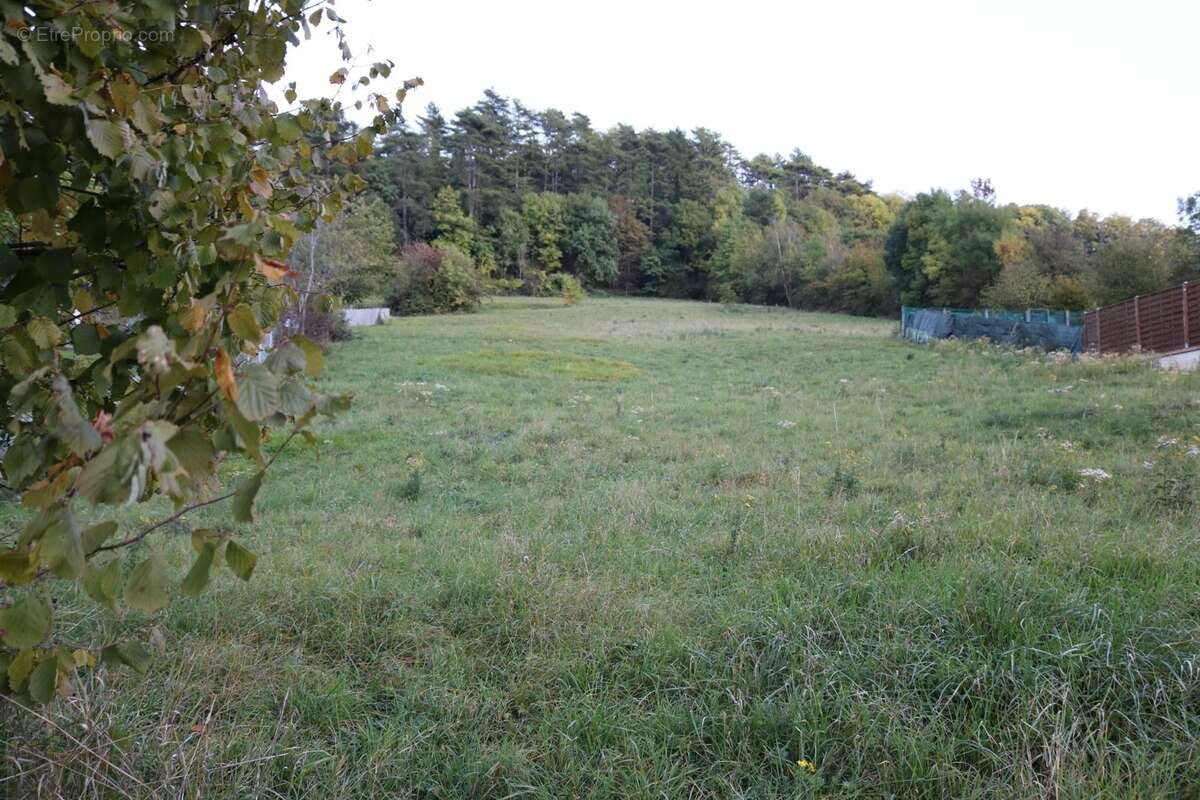 Terrain à vendre  LONS LE SAUNIER (39) - photo 4